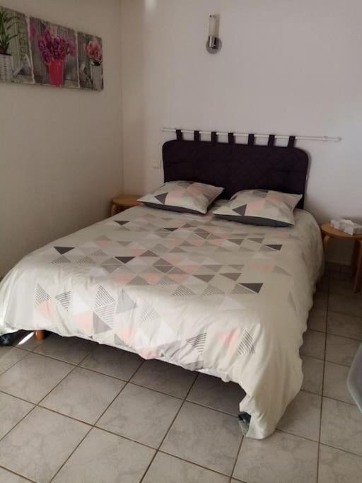 Studio Meuble Independant Tout Confort Classe 2** Aubenas Ngoại thất bức ảnh